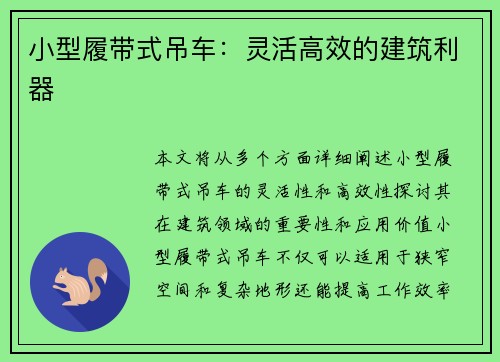 小型履带式吊车：灵活高效的建筑利器