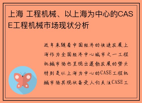 上海 工程机械、以上海为中心的CASE工程机械市场现状分析